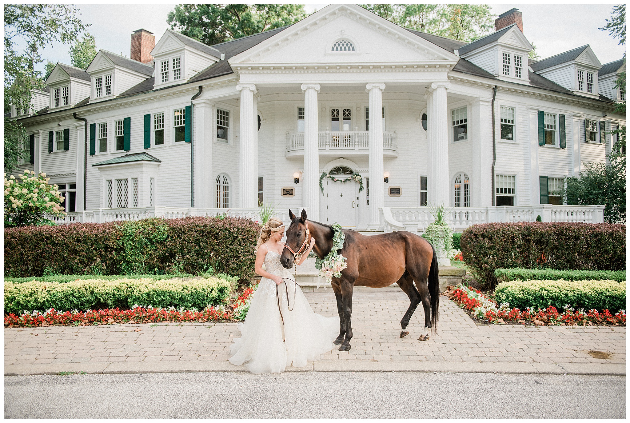 Bride with Horse